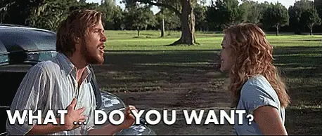 what do you want - what do you really really want?